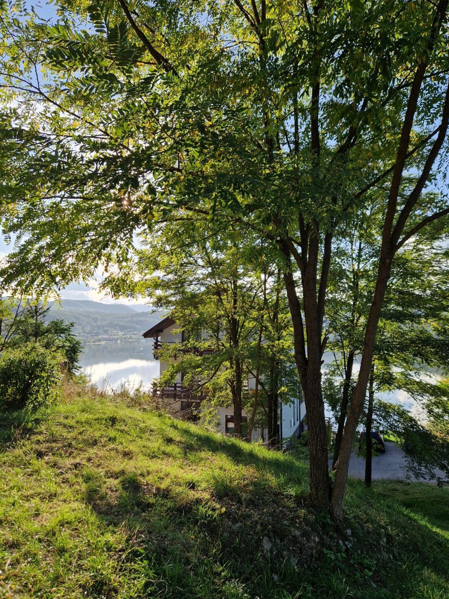 Pensiunea Belvedere Cincis Exteriér fotografie